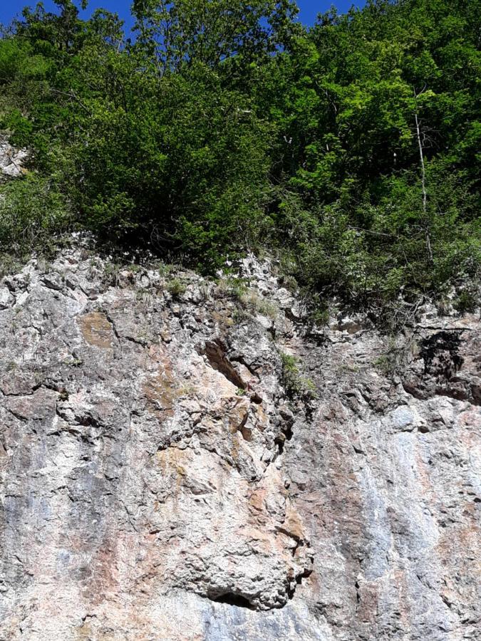 فندق Timi Kulcsoshaz Lăzarea المظهر الخارجي الصورة