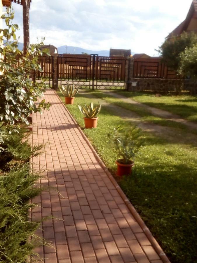 فندق Timi Kulcsoshaz Lăzarea المظهر الخارجي الصورة